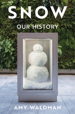 Snow|Amy Waldman