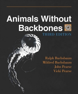 Animals Without Backbones|Ralph Buchsbaum
