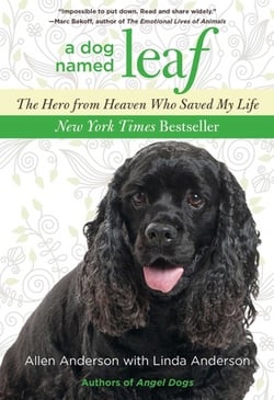 Dog Named Leaf|Allen Anderson
