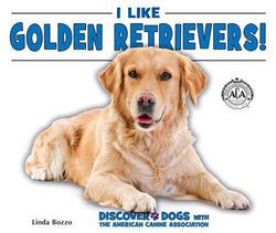 I Like Golden Retrievers!|Linda Bozzo