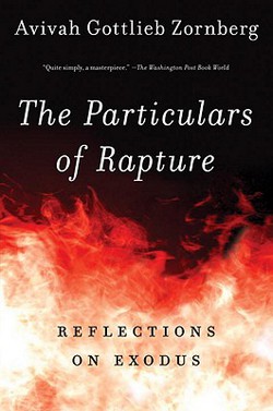 The Particulars of Rapture|Avivah Gottlieb Zornberg