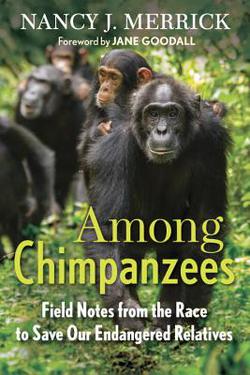 Among Chimpanzees|Nancy J. Merrick
