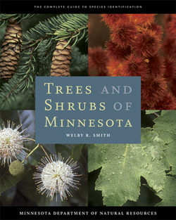 Trees and Shrubs of Minnesota|Welby R. Smith