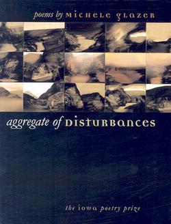 Aggregate of Disturbances|Michele Glazer