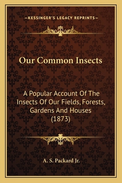 Our Common Insects|Jr. A. S. Packard