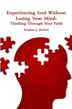 Experiencing God Without Losing Your Mind|Stephen J. Bedard