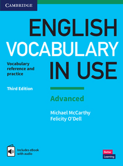 English Vocabulary in Use|Michael McCarthy