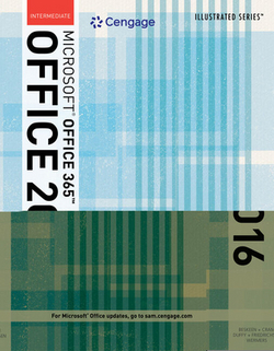Bundle|David W. Beskeen
