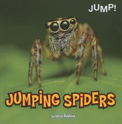 Jumping Spiders|Lynette Robbins