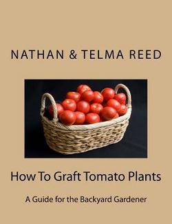 How To Graft Tomato Plants|Telma Reed