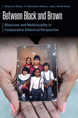 Between Black and Brown|Rebecca Romo