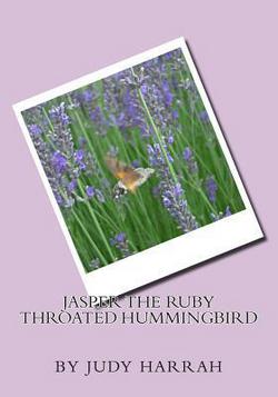 Jasper the Ruby Throated Hummingbird|Draven Yates