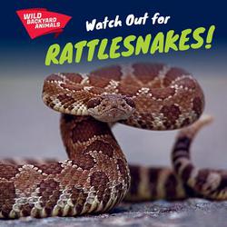 Watch Out for Rattlesnakes!|Jesse McFadden