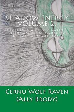 Shadow Energy Volume 2|Allison E. Brody