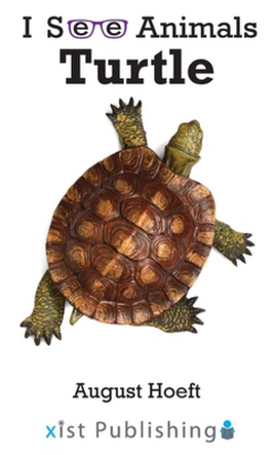 Turtle|August Hoeft