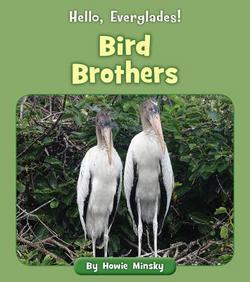 Bird Brothers|Howie Minsky