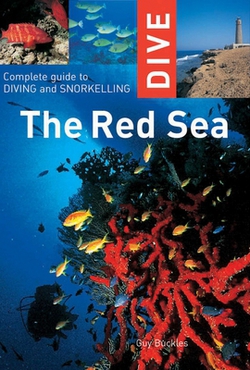 Dive the Red Sea|Guy Buckles