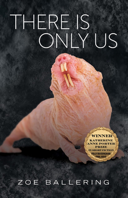 There Is Only Us|Zoe Ballering