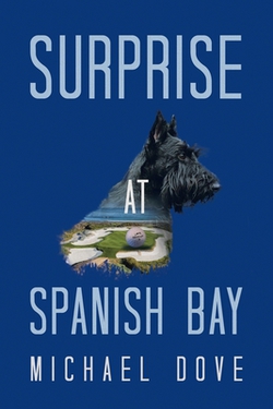 Surprise at Spanish Bay|Michael Dove