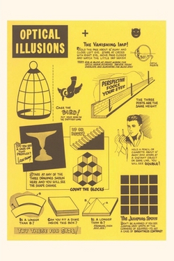 Vintage Journal Optical Illusions|Found Image Press