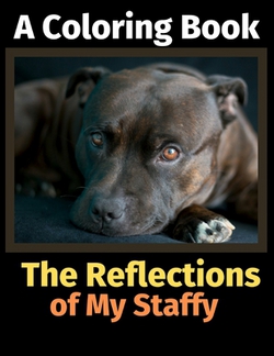 The Reflections of My Staffy|Brightview Activity Books