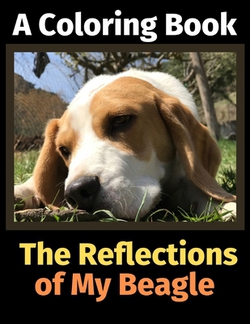 The Reflections of My Beagle|Brightview Activity Books