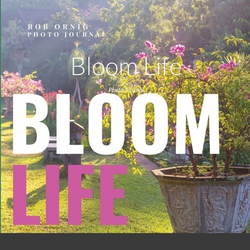 Bloom Life|Rob Ornig