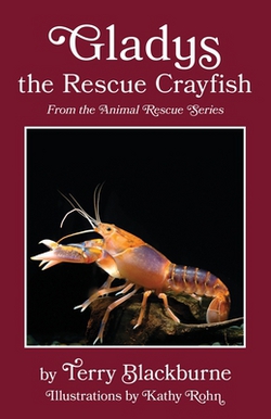 Gladys the Rescue Crayfish|Terry Blackburne