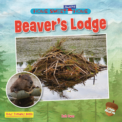 Beaver's Lodge|Ruth Owen