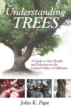 Understanding Trees|John K. Pape