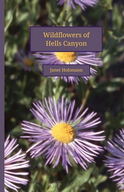 Wildflowers of Hells Canyon|Janet Hohmann