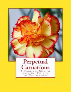 Perpetual Carnations|Roger Chambers