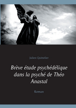 Brève étude psychédélique dans la psyché de Théo Anastal|Julien Quittelier