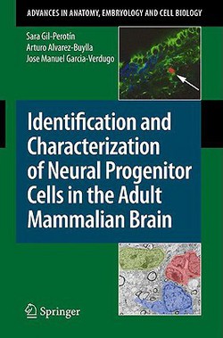 Identification and Characterization of Neural Progenitor Cells in the Adult Mammalian Brain|Sara Gil-Perotín