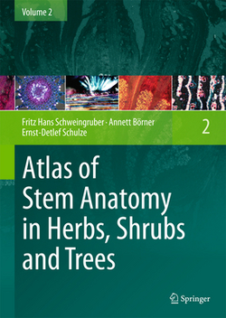 Atlas of Stem Anatomy in Herbs, Shrubs and Trees|Fritz H. Schweingruber