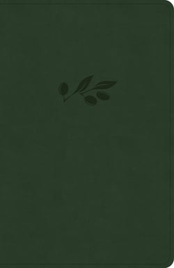 NASB Verse-By-Verse Reference Bible, Olive Leathertouch|Holman Bible Publishers