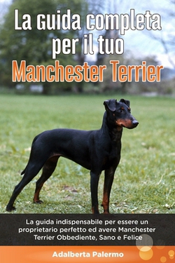 La Guida Completa per Il Tuo Manchester Terrier|Adalberta Palermo