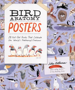 Bird Anatomy Posters|Julia Rothman