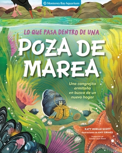 Lo Que Pasa Dentro de Una Poza de Marea|Monterey Bay Aquarium