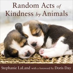Random Acts of Kindness by Animals|Stephanie LaLand